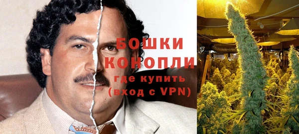 молекула духа Баксан