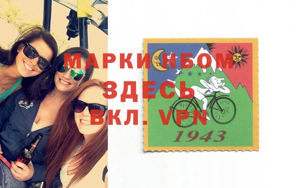 прущие грибы Белокуриха