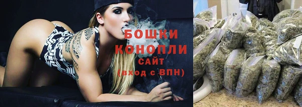 сатива Белоозёрский