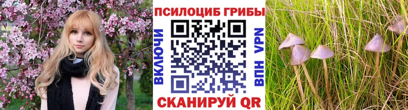 Псилоцибиновые грибы ЛСД  где купить наркоту  Ессентуки 