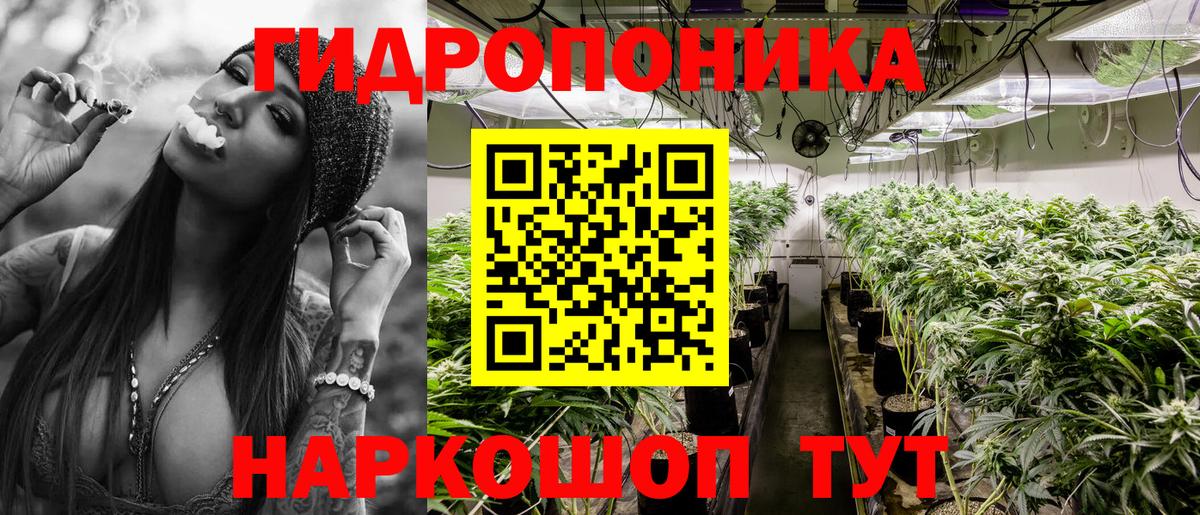 Марихуана конопля  Вход с VPN  Канабис AK-47  Ессентуки  МАРИХУАНА AK-47 